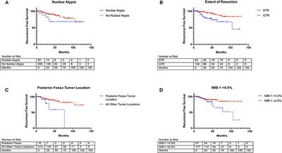 WHO Grade I Meningioma Recurrence: Identifying High Risk Patients Using Histopathological Features and the MIB-1 Index